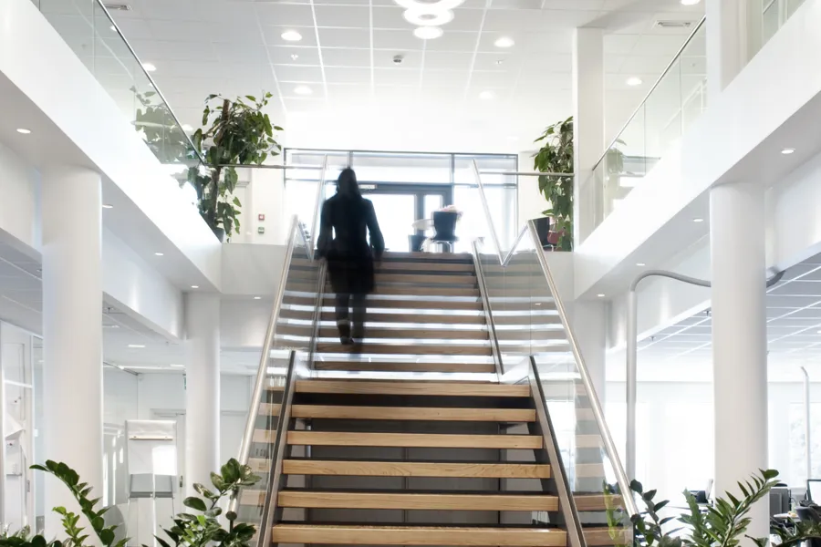 En trapp med potteplanter